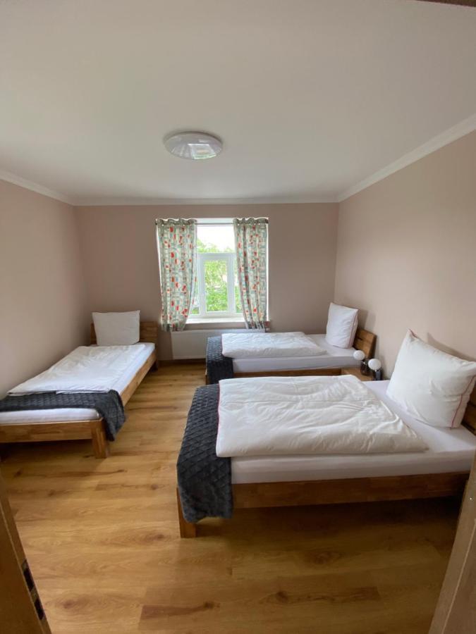 2 Raum Apartment Mit Terrasse, Hell Und Stilvoll Borna Eksteriør billede